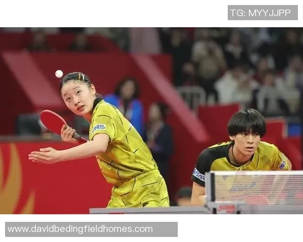 杭州乒乓球队总决赛战术分析与表现评估全面解读
