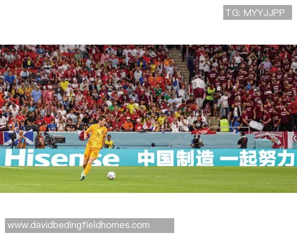 武汉排球队的拼搏之路：从默默无闻到荣耀巅峰的奋斗故事