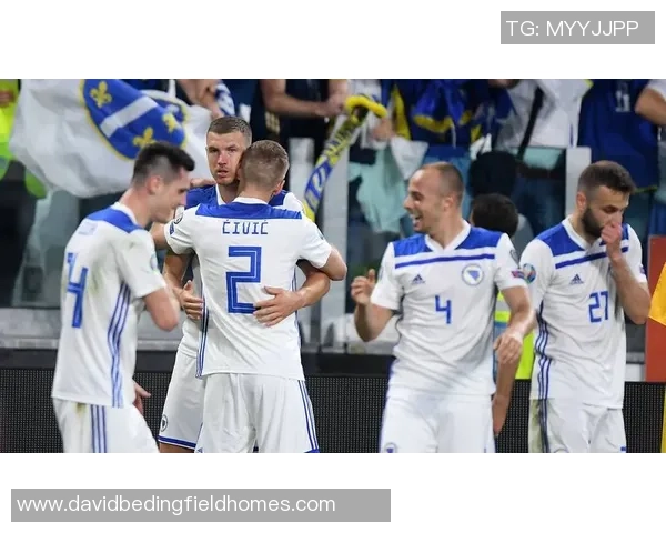 波黑足球明星名单揭晓他们在国际赛场上的辉煌成就与影响力