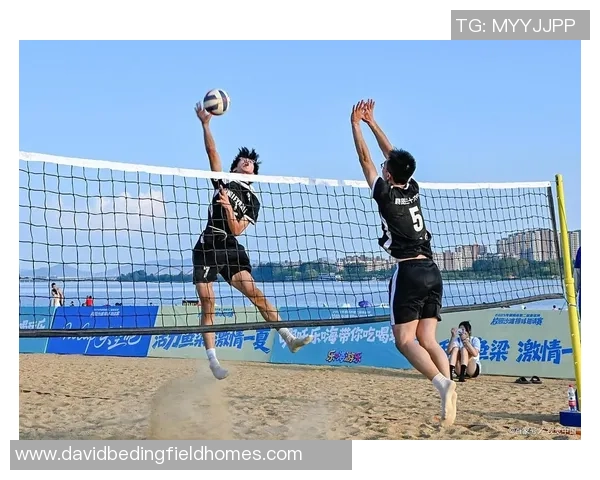 排球战术：武汉排球队的进攻体系