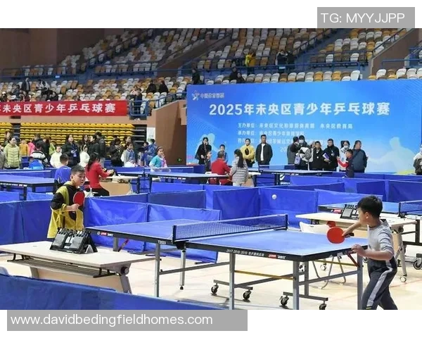 乒乓球巨献：探秘西安乒乓球队的意识