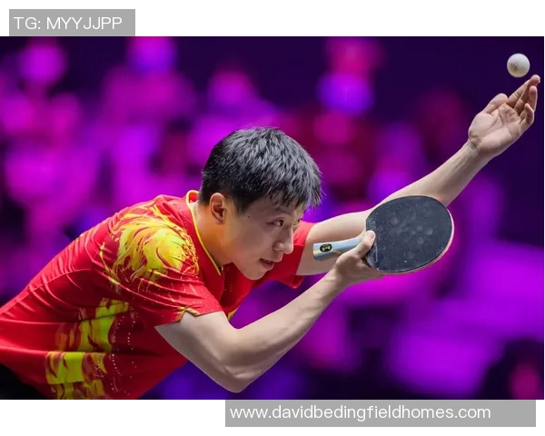 对话杨军：谈乒乓球生涯