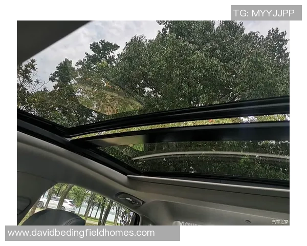 滑板巨献：探秘武汉滑板队的状态