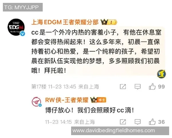 王者荣耀热点：解读JDG的快攻