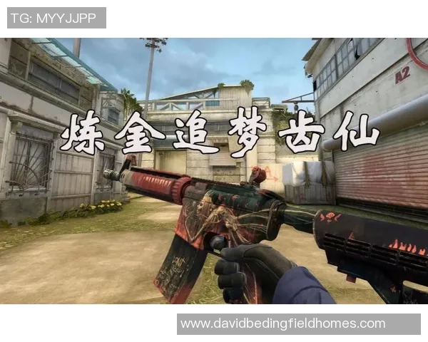 张丽专访：回顾CS_GO历程