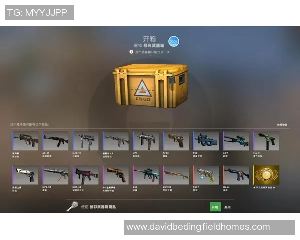 深度对话：王磊的CS_GO人生