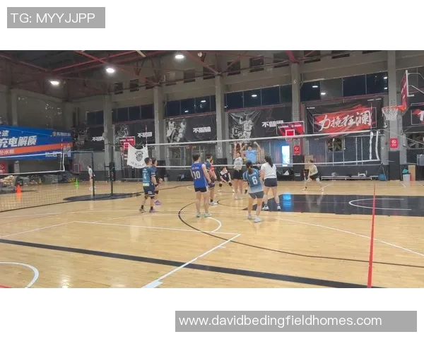 专业解读：深圳排球队的阵地战打法