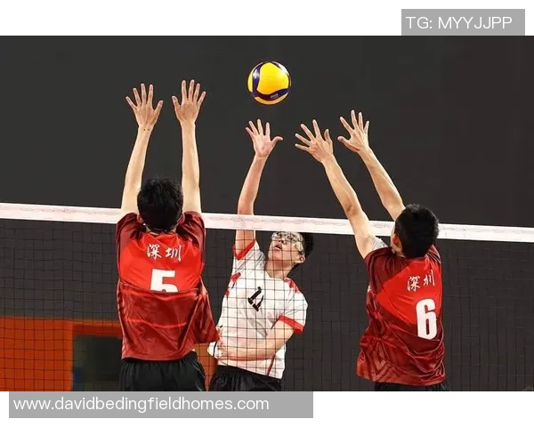 最新排球状态TOP10：深圳排球队领跑