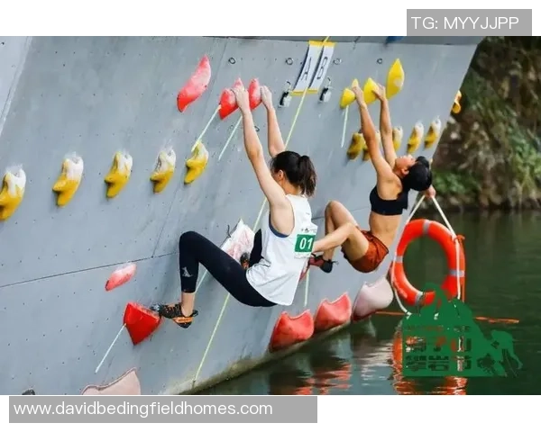 陈秀英独家：分享攀岩心得