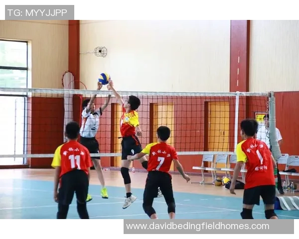 排球热点：解读重庆排球队的盯防