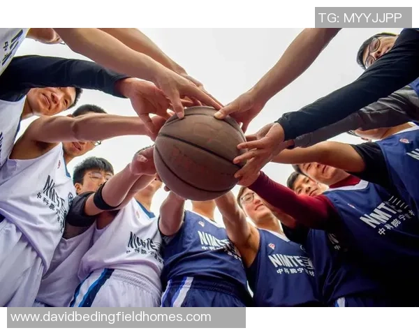 重磅专题：重庆篮球队的区域防守革新