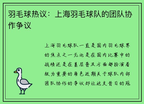 羽毛球热议：上海羽毛球队的团队协作争议