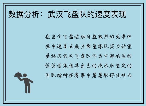 数据分析：武汉飞盘队的速度表现